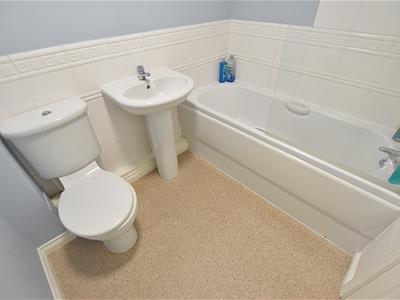 Picture 16
